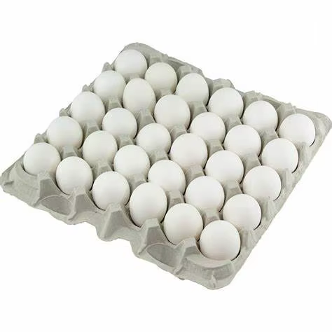 Hatching Eggs