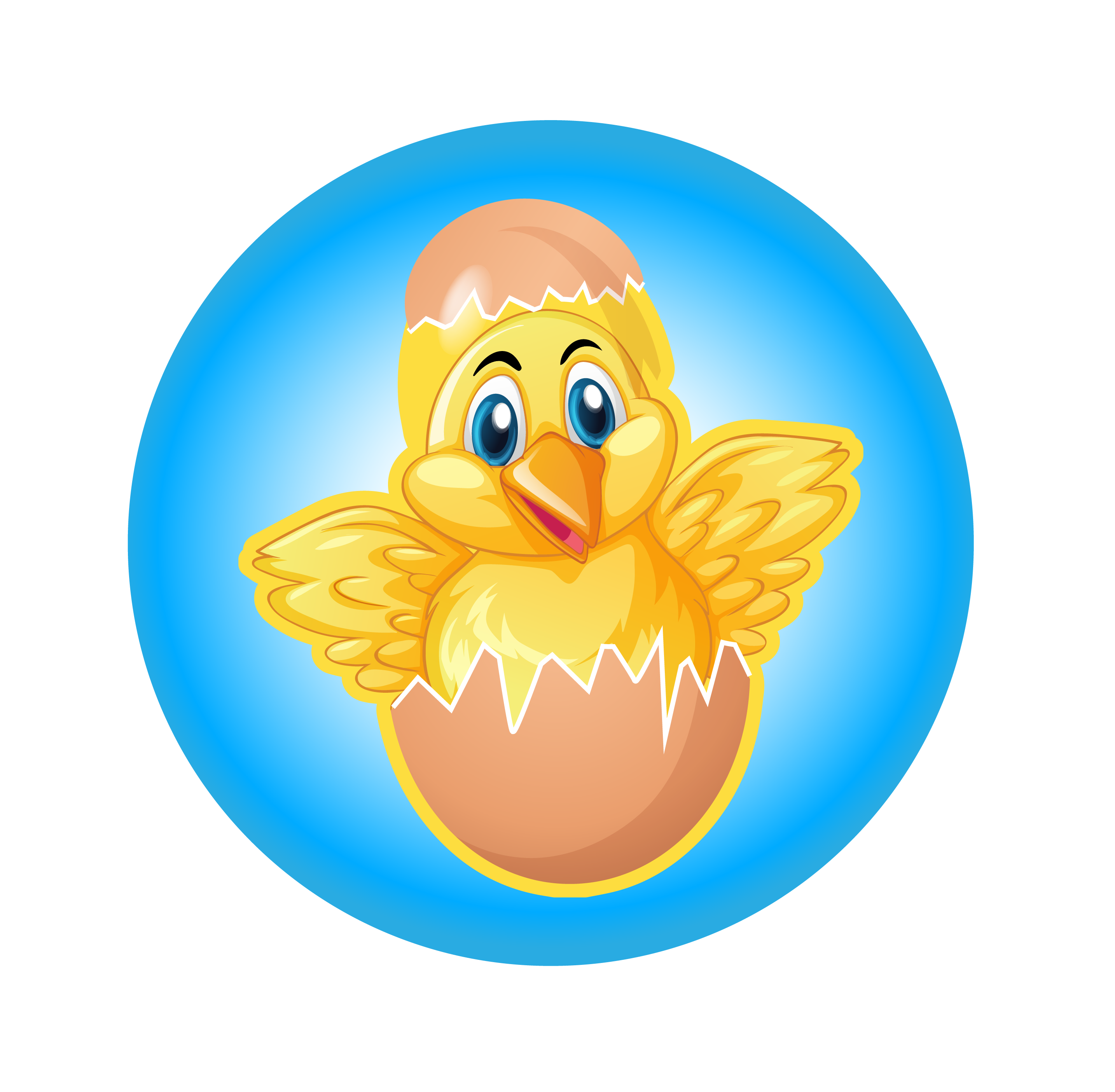 Order Chicks